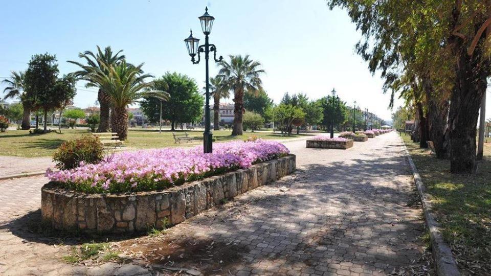 Zoi Apartments Paralia Dionysiou Luaran gambar
